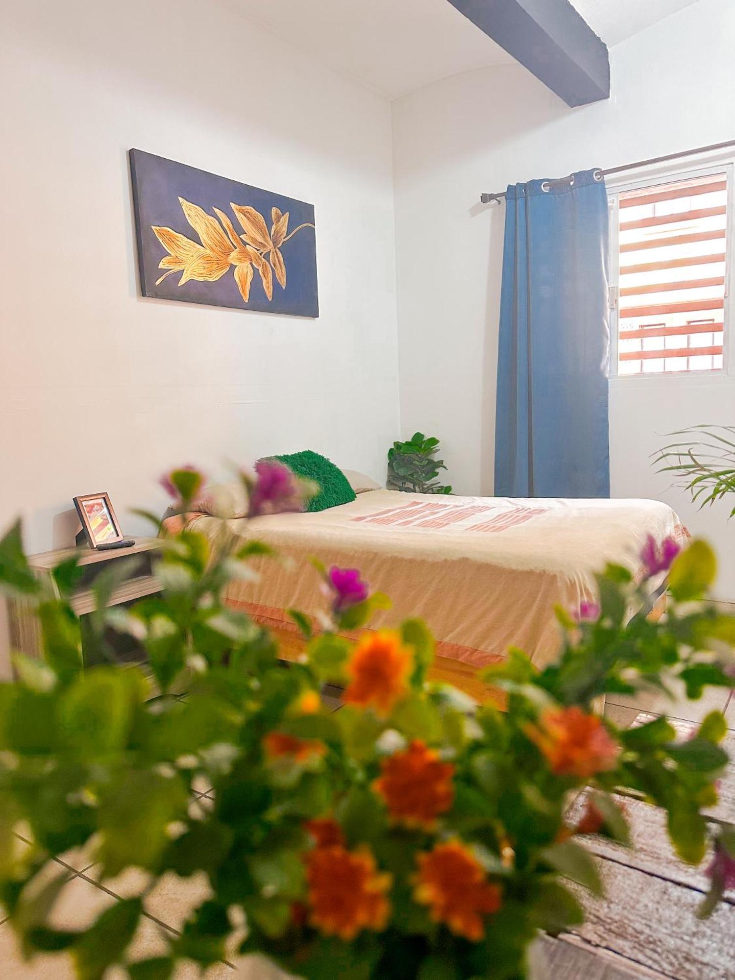 Habitacionez Hvuz Oaxaca Exteriör bild
