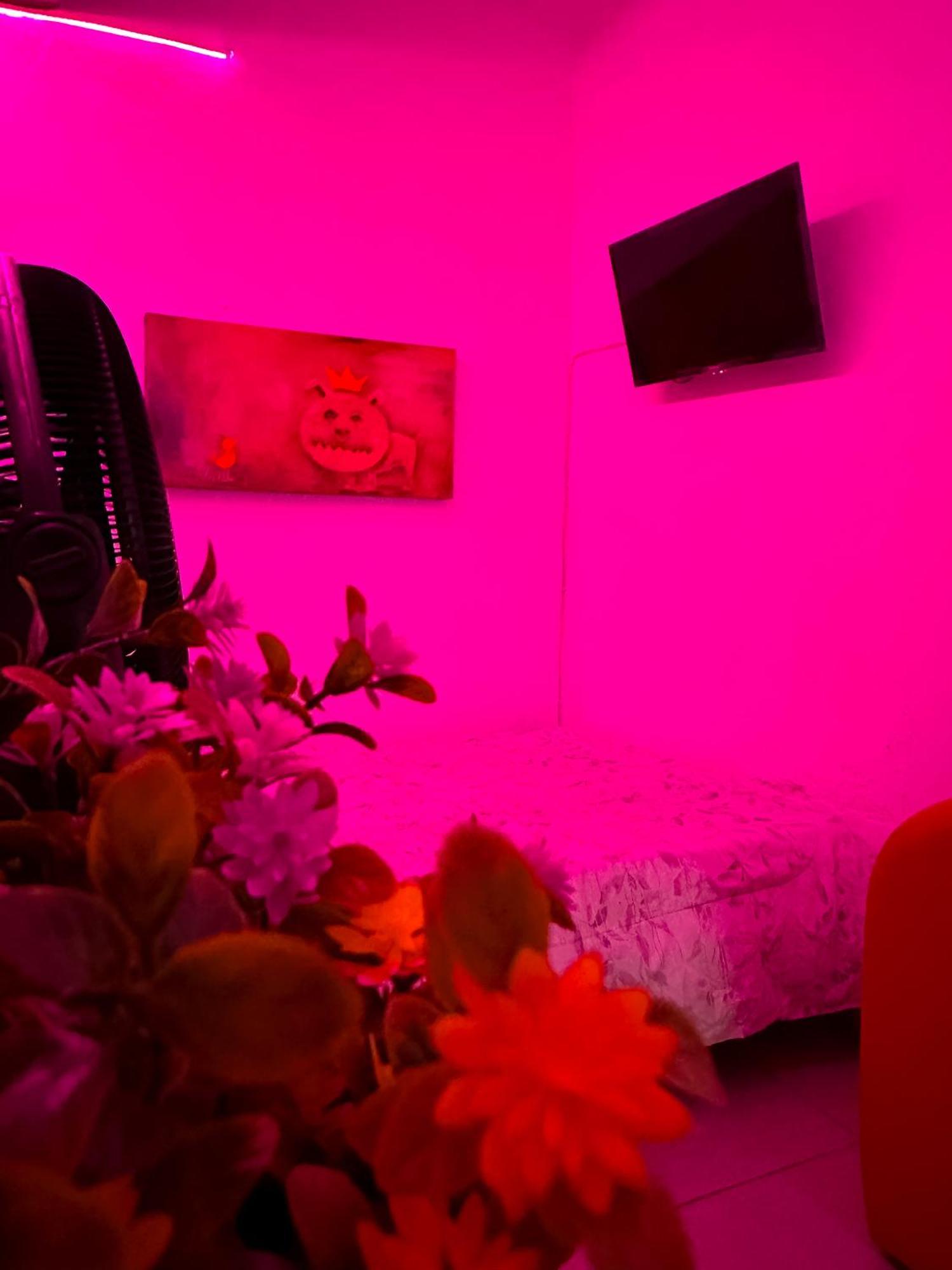Habitacionez Hvuz Oaxaca Exteriör bild